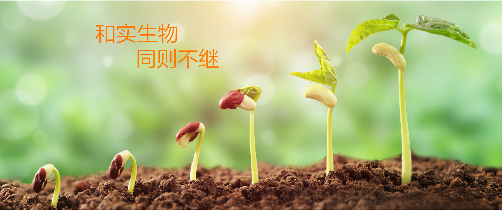 和实科技